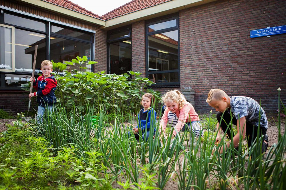 basisschool Westbroek